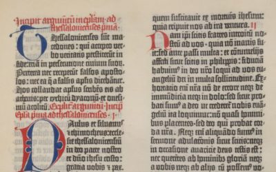 Pocas, caras y codiciadas