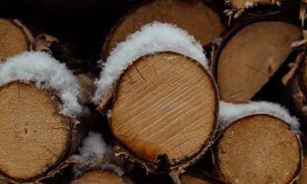 El supuesto leñador