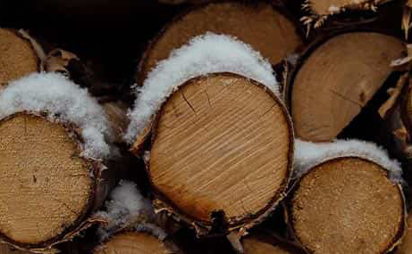 El supuesto leñador