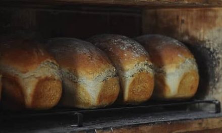 PARTIDO PARA COMPARTIRLO