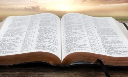 Deleitarse en el Libro