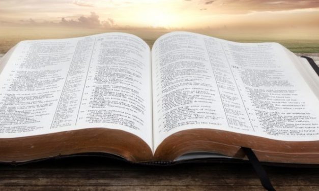 Deleitarse en el Libro