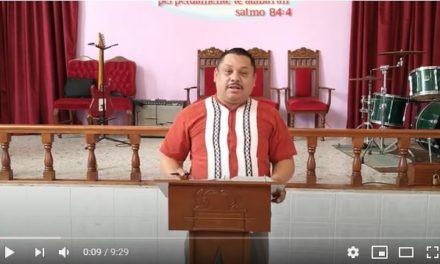 No temas manada pequeña