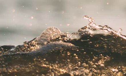 A través de las aguas