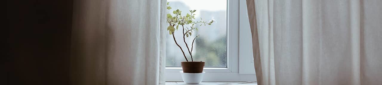 «Alimenta mis ovejas»