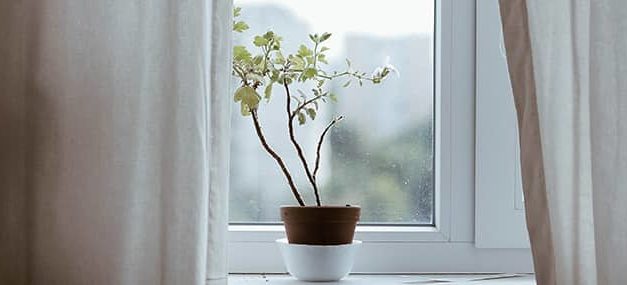 «Alimenta mis ovejas»