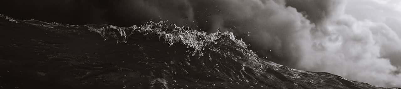 El error del pronosticador