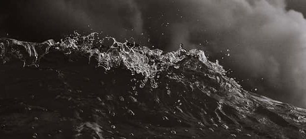 El error del pronosticador