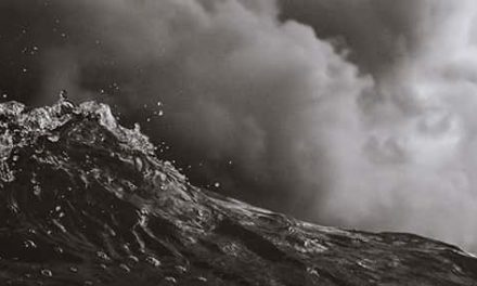 El error del pronosticador