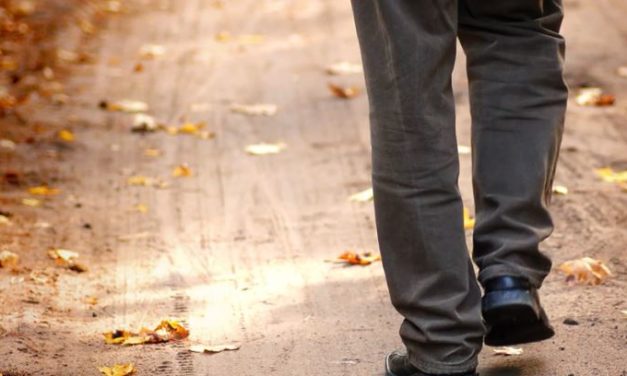 El Pastor en el camino