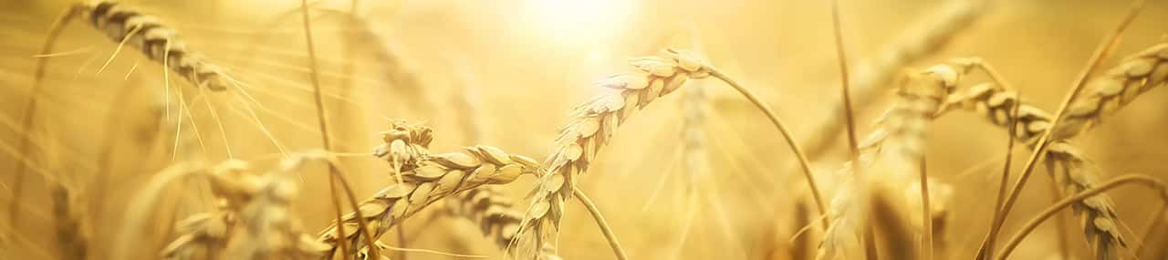 El hombre que no podía hablar