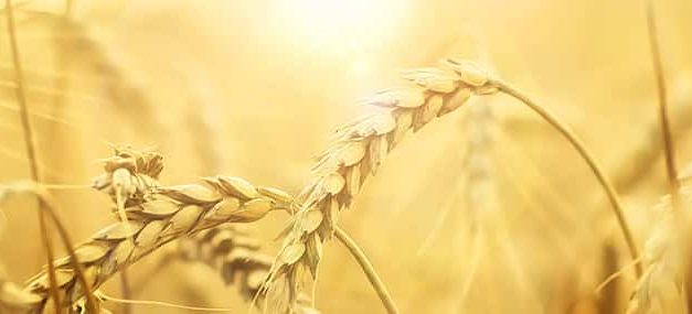 El hombre que no podía hablar