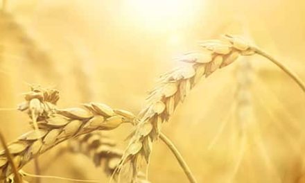 El hombre que no podía hablar