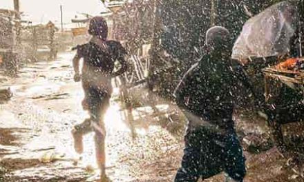 Aprender de los niños