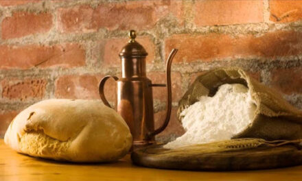 Creer contra toda esperanza