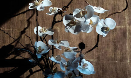 Confiar en Dios en la tristeza