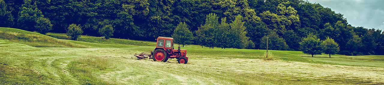 Cultivar el mundo de Dios