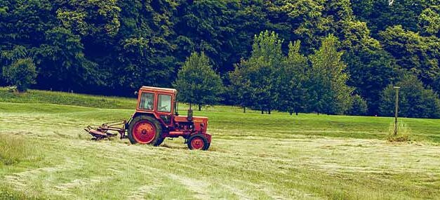 Cultivar el mundo de Dios