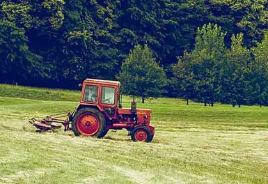 Cultivar el mundo de Dios