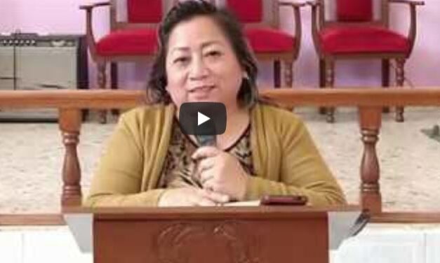 ¿Como Estamos Reaccionando a la Pandemia?