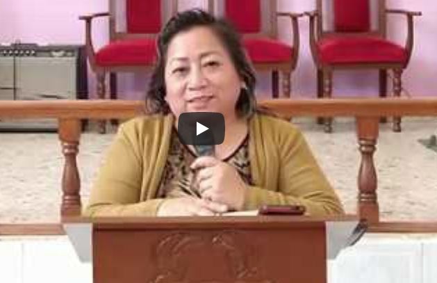 ¿Como Estamos Reaccionando a la Pandemia?