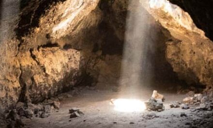 La misericordia de Dios en acción