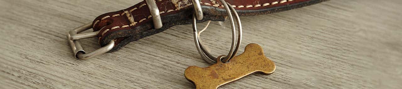 Nombres puestos por Dios