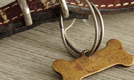 Nombres puestos por Dios