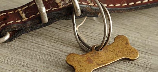 Nombres puestos por Dios