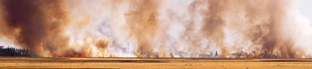 Fuego en el desierto