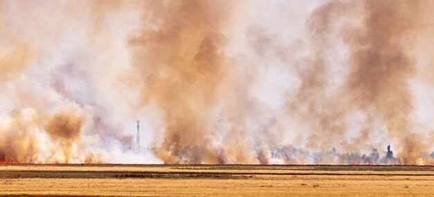 Fuego en el desierto