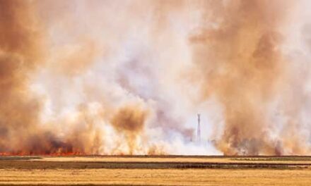 Fuego en el desierto