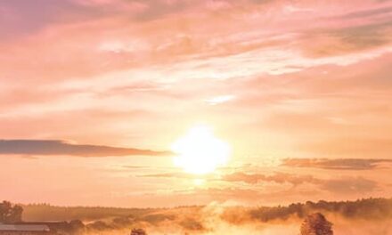 Déjale los resultados a Dios