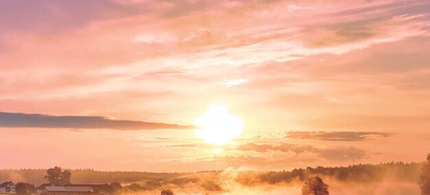 Déjale los resultados a Dios