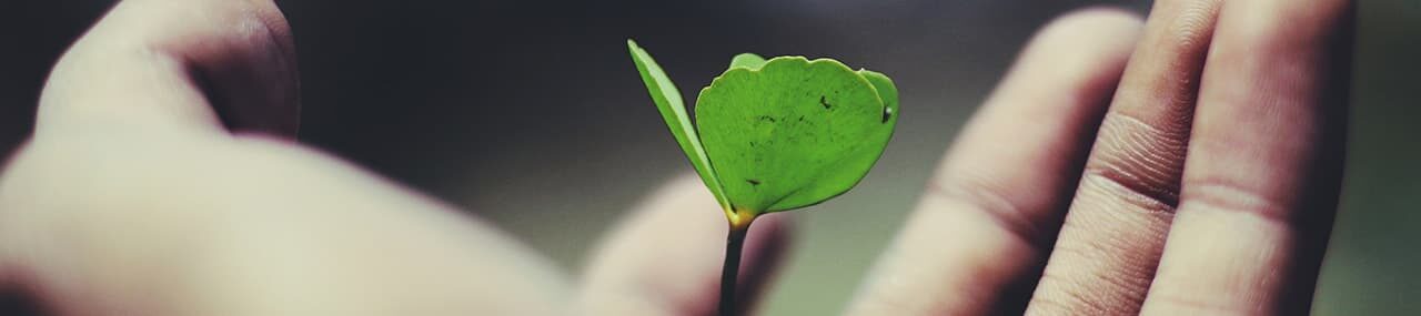 Un corazón abierto y generoso