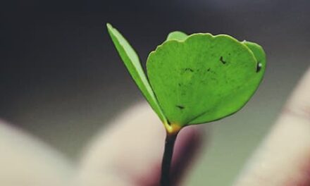 Un corazón abierto y generoso