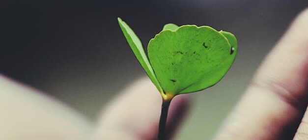 Un corazón abierto y generoso