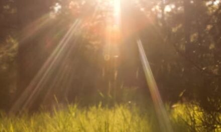 ¿Le importamos a alguien?