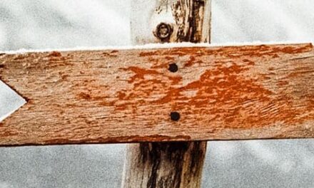 Se busca: Sabiduría