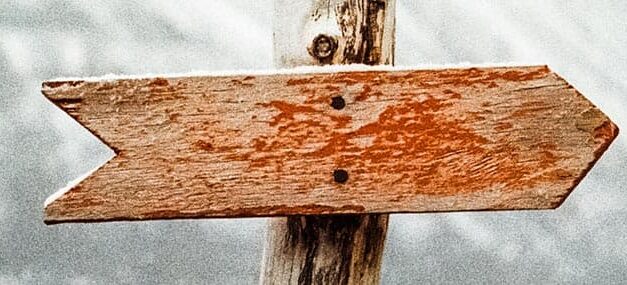 Se busca: Sabiduría