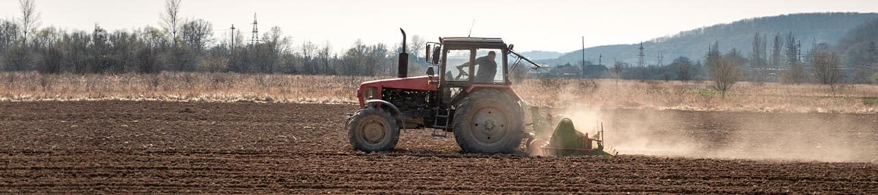 ¿Predicar o plantar?