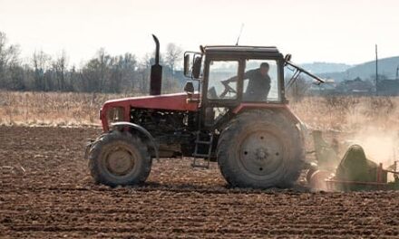 ¿Predicar o plantar?