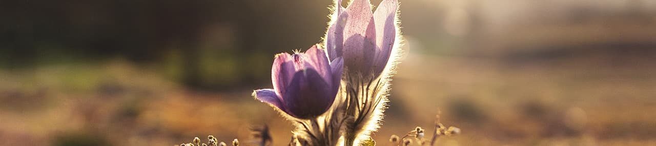 Escoger la esperanza