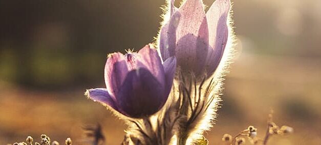 Escoger la esperanza