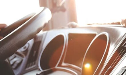 Las manos de un camionero