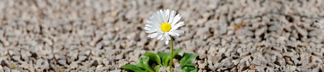 ¿Quién me necesita?