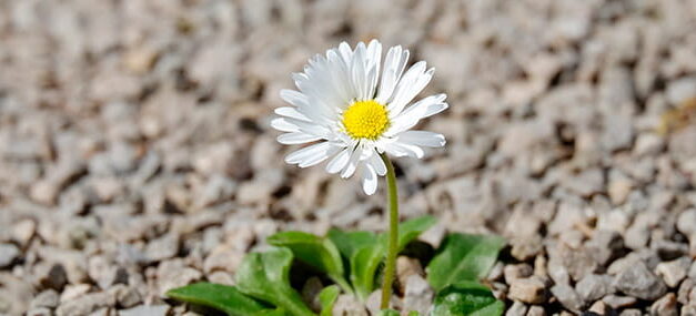 ¿Quién me necesita?