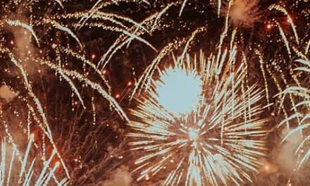 Fuegos artificiales de la vida