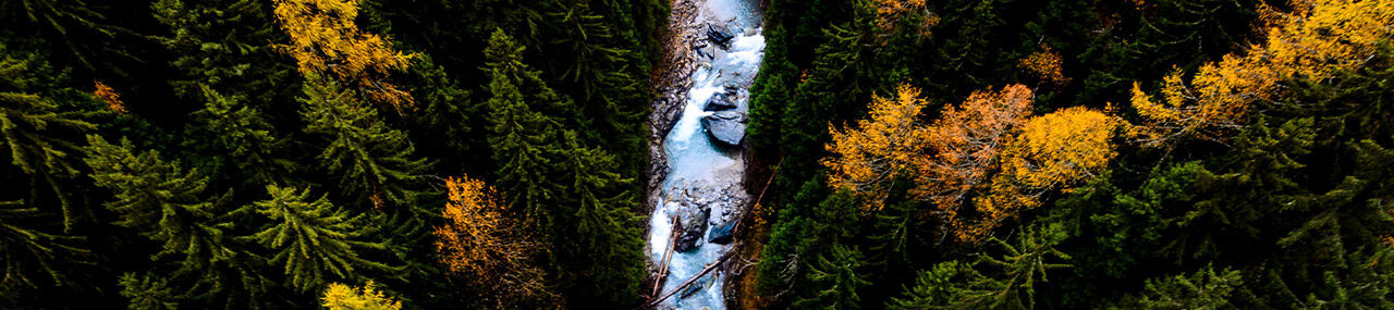 Una corriente poderosa