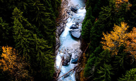 Una corriente poderosa